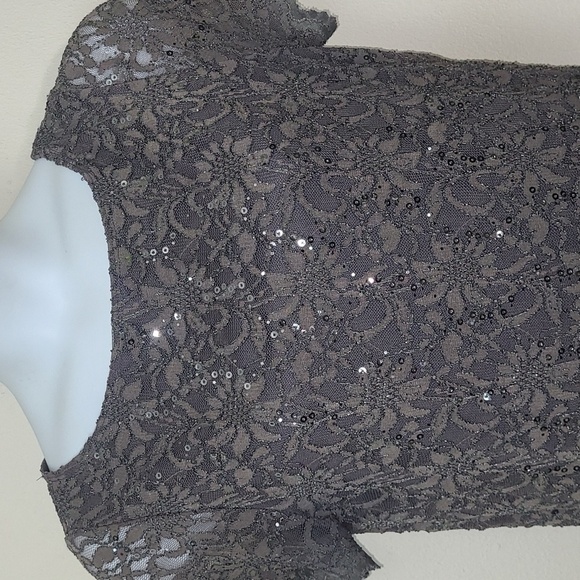 Tiana B Gray Lace Sequin Cocktail Dress XL Short Sleeve Midi Wedding Holiday - Picture 2 of 8